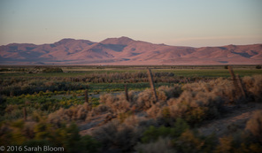 Farm in Great Basin Desert, Nevada