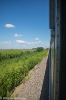 Train travels past shrub-lined farms, Illinois